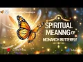 Spiritual Meaning of Monarch Butterfly Transformation Resilience and Divine Guidance