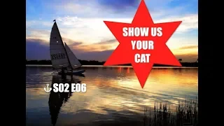 Show us your cat! S02 E06 USA, Italy and Brazil