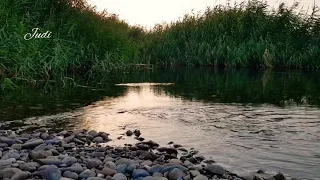 مايجرع المر الا الي بقلبوا داي سعدون جابر مناظر ريف رقة 