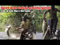 Download Lagu Luar biasa! Mancing ikan kakap pake umpan udang, dapatnya Monster\