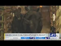 Mississippi farmers sell cattle due to drought