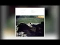 Fleet Foxes - Mearcstapa