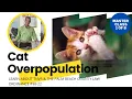TNVR Cat Overpopulation
