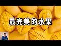 Download Lagu 為什麼說芒果是最完美的水果？它和榴蓮到底誰才是「熱帶水果之王」？世界上最貴的芒果超乎你的想象！【老肉雜談】#生物 #植物 #水果 #芒果 #冷知識