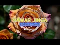 Download Lagu Lagu Sumbawa Pilihan Mawar Jinga Yanto Icak Cover Reggae