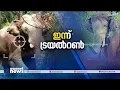 അരിക്കൊമ്പനെ പിടികൂടുന്നതിനുള്ള മോക്ക്ഡ്രിൽ ഇന്ന് നടക്കും| Mission Arikomban