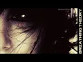 Breathing Theory -  Fireflies
