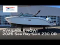 2026 Sea Ray SDX 230 OB for sale at MarineMax Brick NJ