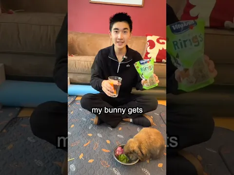 Subscribe if you like my cute bunny 🥹