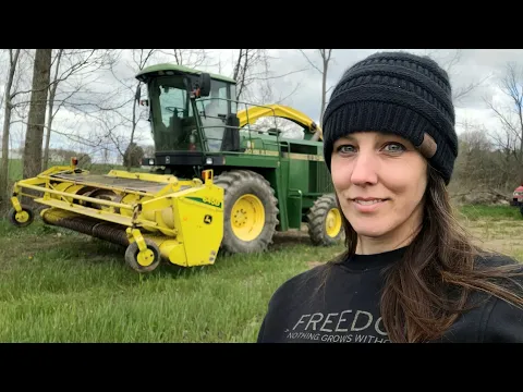 Download MP3 Green Chopping Rye ~ Cows Out To Pasture