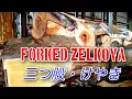 Download Lagu 三つ股・けやきの製材動画・Forked Zelkova Sawing!!