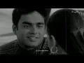Download Lagu RHTDM - Rain Theme Track | A Heart Touching Tune | Rain Scene | Love At First Sight | Reverb Tune