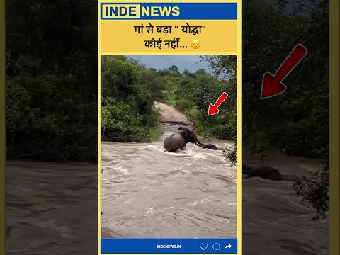 एक मां से बड़ा योद्धा कोई नहीं… ये बात इस वीडियो में हर पल, हर सेकेंड साबित होती है🥹