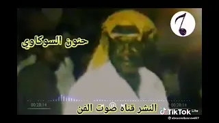 اجمل ماغني الفنان المرحوم حنون السوكاوي   ابوذيه ورطينه دندنها