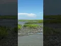 This shows the difference between high tide and low tide in Murrells Inlet SC at Huntington BSP