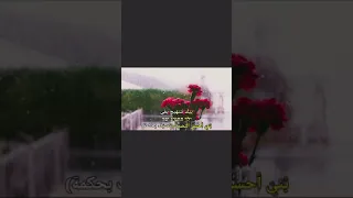 ילד שלי مترجمة للعربية ييلد شلي أغاني عبرية مترجمة للعربية 