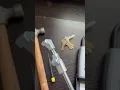 How to unjam a Master lock box 5422D