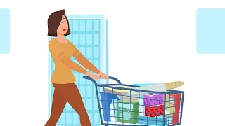 Spark Driver - Shopping Delivery Overview