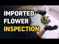 Pre-Mother s Day Flowers Inspection LA Teachers Get Salary Increase California Today - May 11