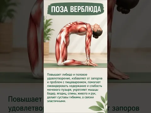 Нужно делать эту позу и спина болеть не будет