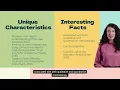 RES6033 Module 4 Assignment A Case Study
