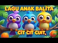 Lagu CIT CIT CUIT | TEK KOTEK | 5 BEBEK KECIL BERMAIN | SUARA BINATANG | CONGKLAK KIDZ