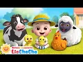 Download Lagu Si Imut Berkunjung ke Peternakan | Lagu Hewan Ternak🐄 | Lagu Anak-anak | LiaChaCha Bahasa Indonesia
