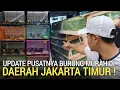 Lagu SIDAK ! PUSAT SEMUA JENIS BURUNG MURAH DI DAERAH JAKARTA TIMUR PASAR BURUNG PRAMUKA LEWAT DULU
