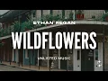Ethan Regan - Wildflowers (Lyrics)