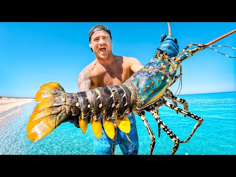 Download MP3 Catching Giant Lobsters For Food On Remote Island