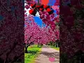 Download Lagu Abba Padre Gracias Shalom🙏🏼🌹💝