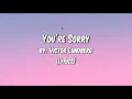 Download Lagu A song by Victor Lundberg- You’re Sorry ft. Astyn Turr with lyrics
