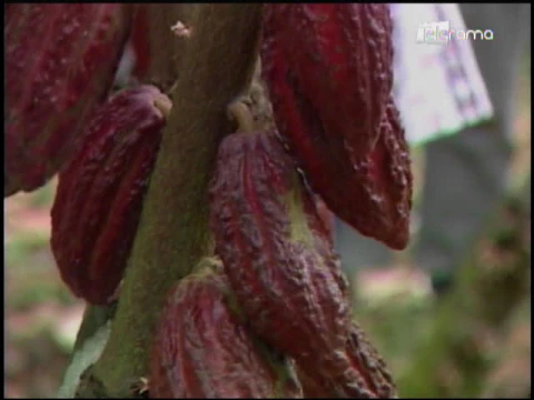 Ecuador Agropecuario 07-08-2017