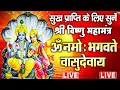 Lagu LIVE : श्री विष्णु महामंत्र - ॐ नमो भगवते वासुदेवाय - Om Namo Bhagavate Vasudevaya - Vishnu Mantra