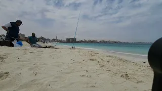 صيادة القلوب اغنية الطبيعه الحلوة دندنها
