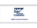 ABAP function module