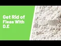 How Long Does Diatomaceous Earth Take to Kill Fleas
