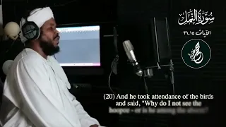                                                        سورة   النمل     محمد عثمان حاج علي    دندنها