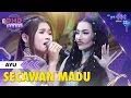 Download Lagu AYU (JAKARTA) - Secawan Madu X Rungkad | DMD PANGGUNG REZEKI