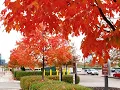 Travel Money Magazine s Best Place to Live Mason Ohio USA