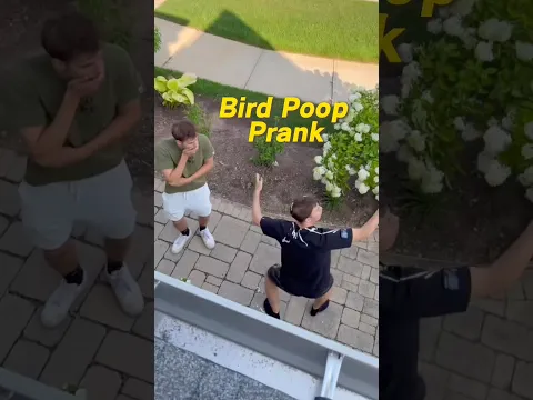 Fake bird poop prank😀 #pranks #funny #fyp #viralvideo #funnyvideo #foryoupage #pets