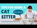 How to Find a Good Cat Sitter