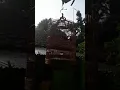SAMYONG SUARA ALAM ORIGINAL