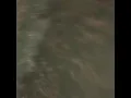 Flagger Ran off
