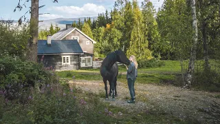 Slow Days on my little Horse Farm in Norway | #12 Farm Diaries