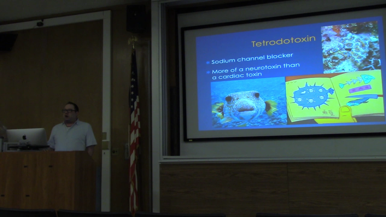 Dr. Sage Wiener: Cardiac Toxicity Part 1
