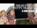 Fresh Patch Review 2-Year Update Potty Train Puppies in Winter in an APARTMENT