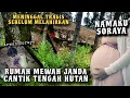 Download Lagu RUMAH MEWAH JANDA CANTIK TENGAH HUTAN KOSONG 5 TAHUN 