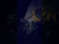 ORPHANAGE ROAD ABANDONED CEMETERY PART 2