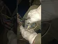 How to hot-wire a 1990 Dodge truck ignition switch bypass